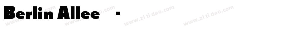 Berlin Allee转换器字体转换